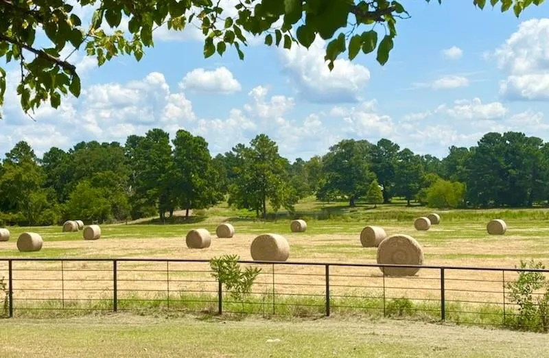 2421 Fm 1280 W Lovelady, TX 75851
