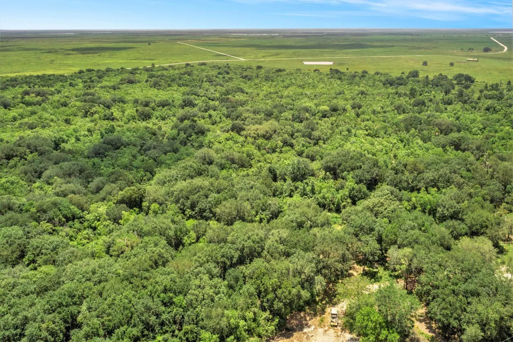 Fm 562 Anahuac, TX 77514