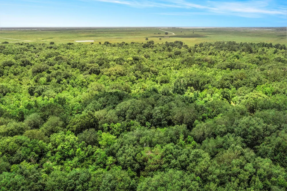 Fm 562 Anahuac, TX 77514