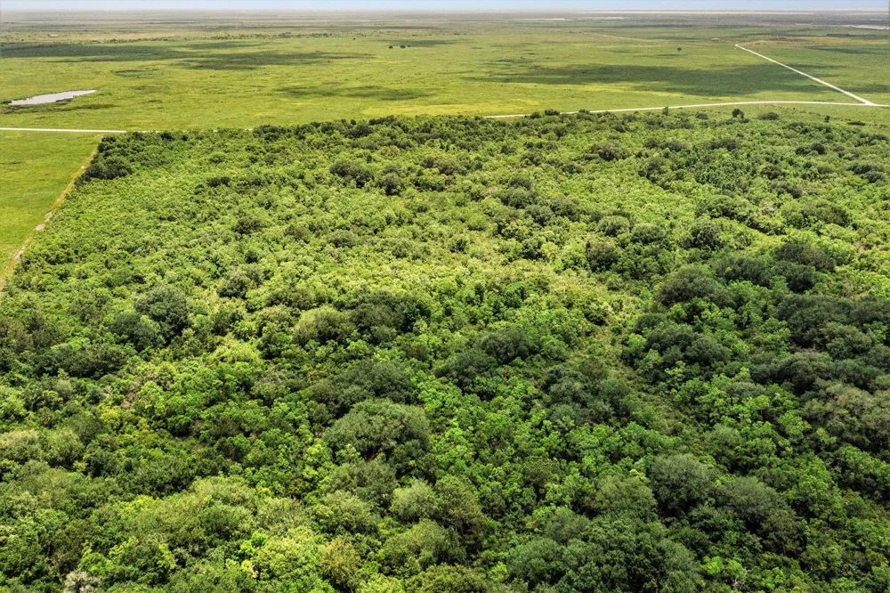 Fm 562 Anahuac, TX 77514
