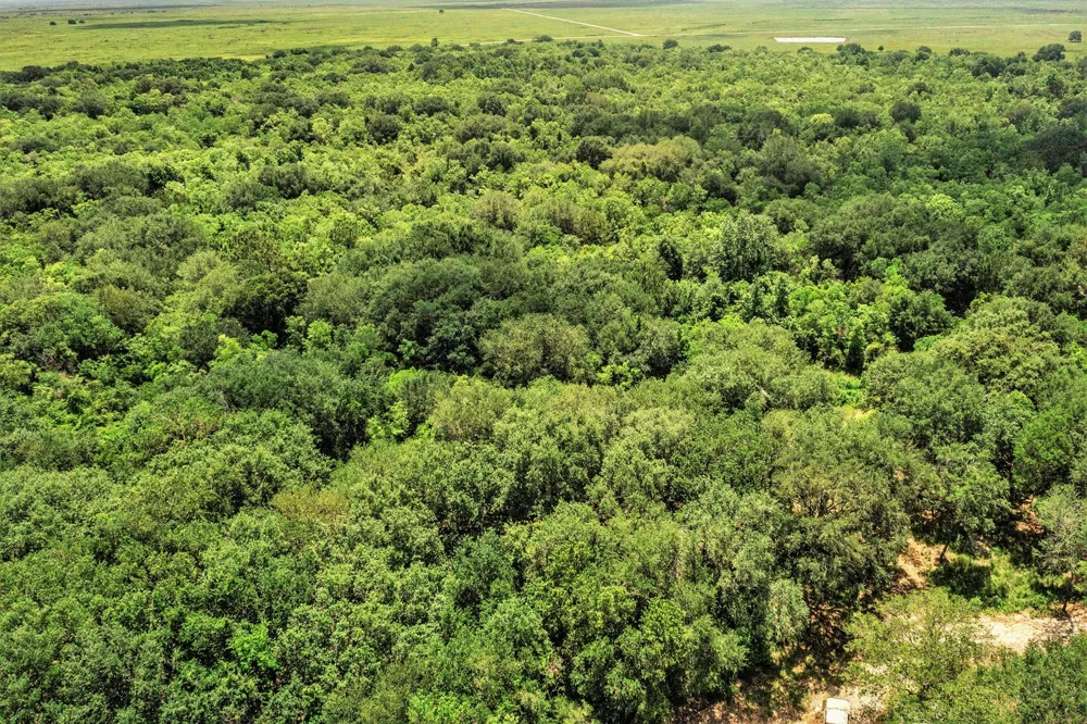 Fm 562 Anahuac, TX 77514
