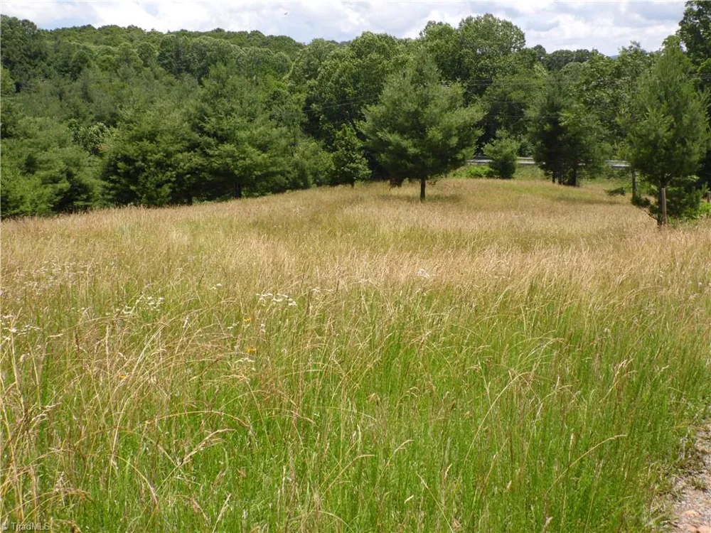 TBD NC Highway 18 Sparta, NC 28675