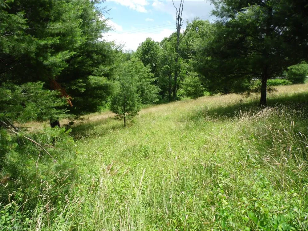 TBD NC Highway 18 Sparta, NC 28675