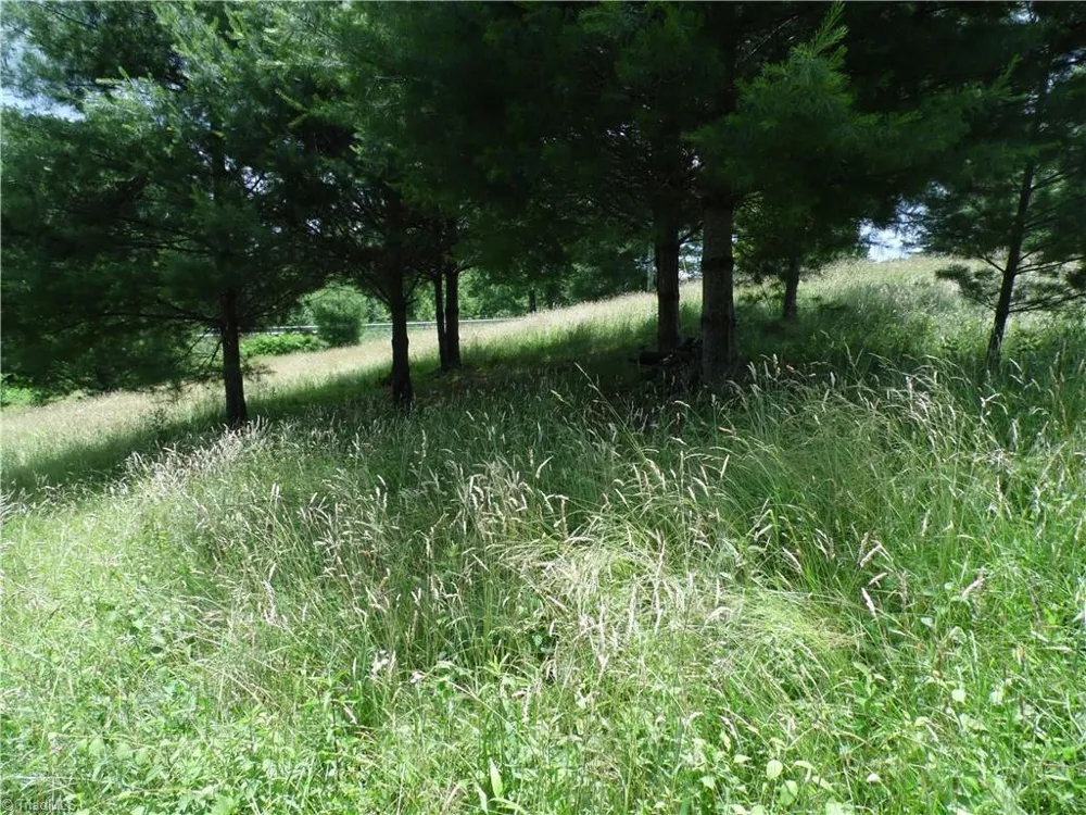 TBD NC Highway 18 Sparta, NC 28675