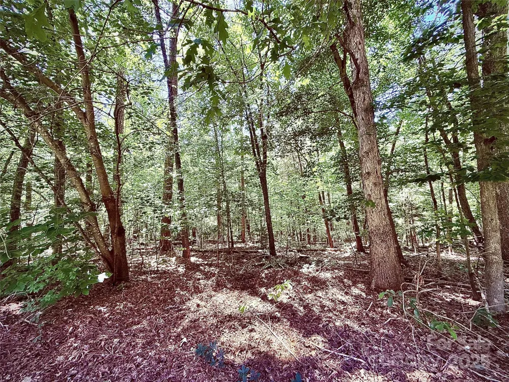 00 Margie Lane Norwood, NC 28128
