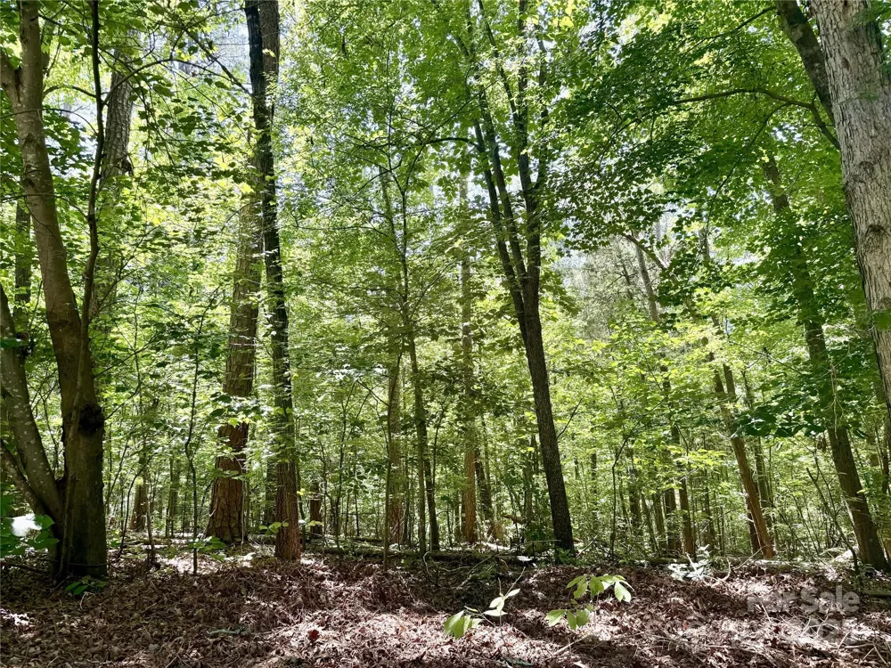 00 Margie Lane Norwood, NC 28128