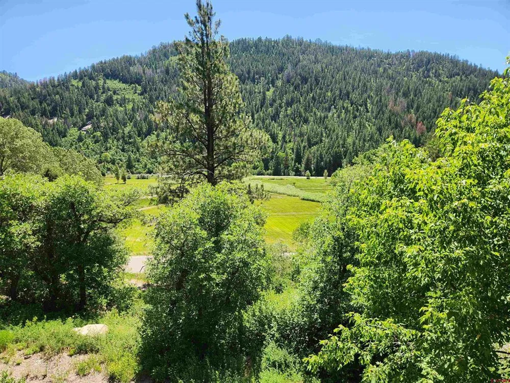 22987 Highway 145 Dolores, CO 81323