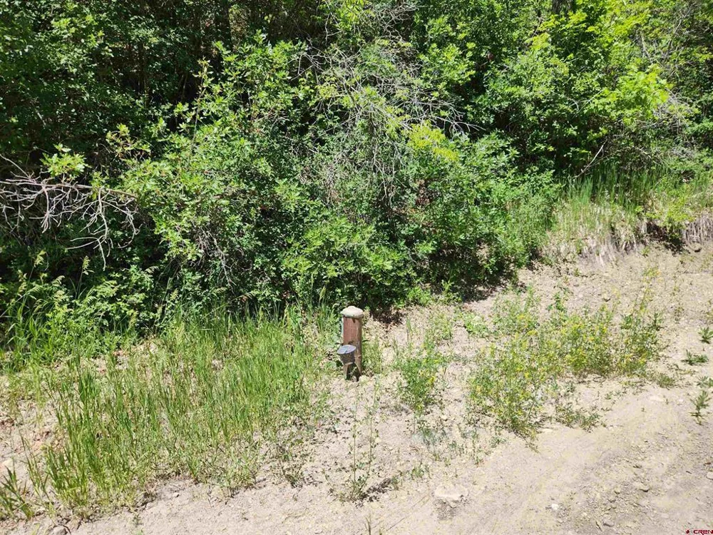 22987 Highway 145 Dolores, CO 81323