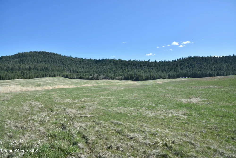 lot 1 Mundt Road Plummer, ID 83851