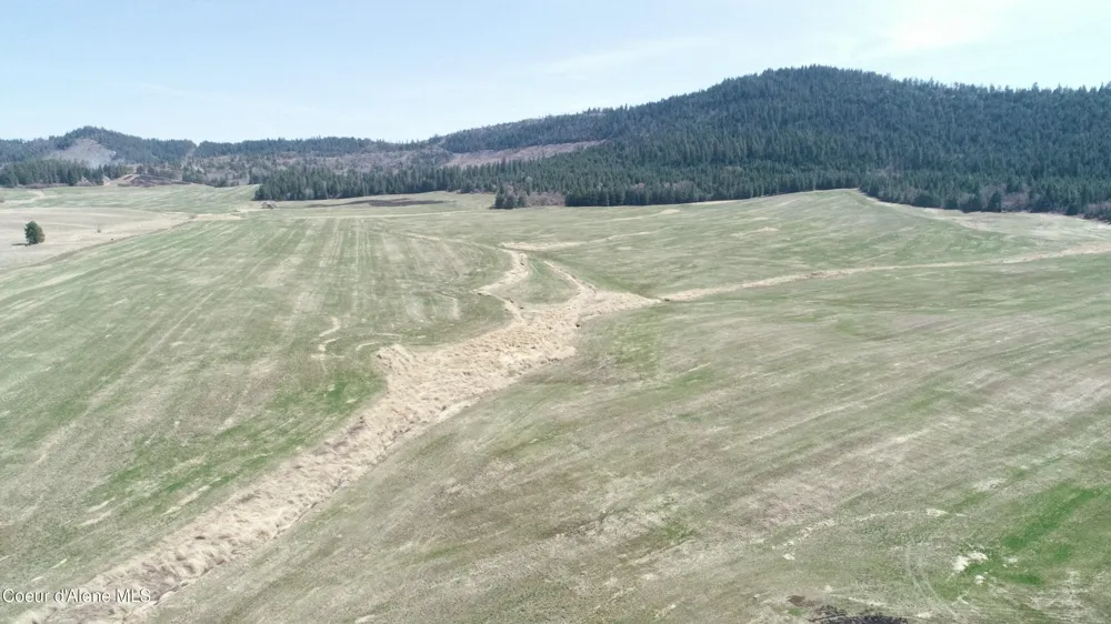 lot 1 Mundt Road Plummer, ID 83851
