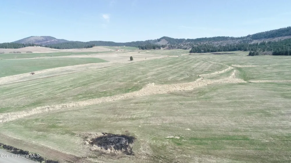 lot 1 Mundt Road Plummer, ID 83851