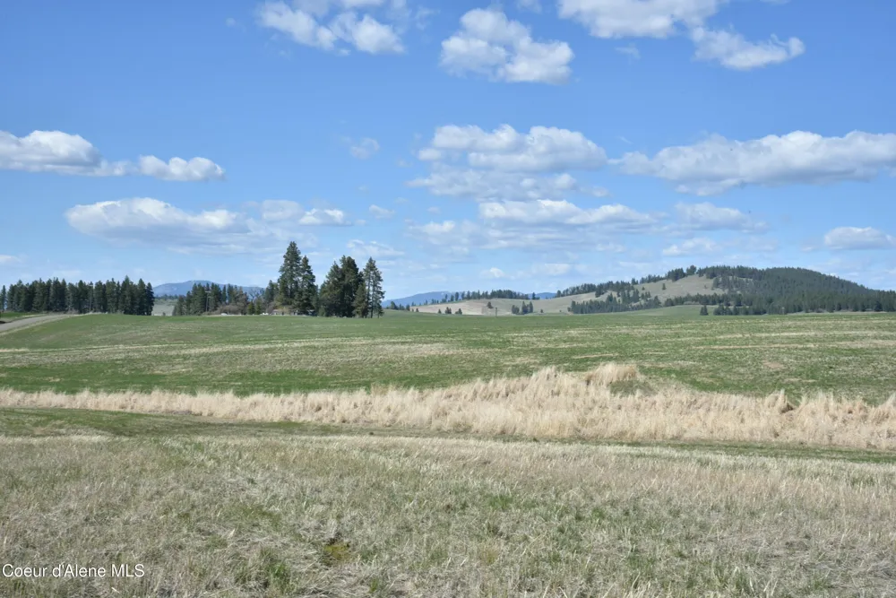 lot 1 Mundt Road Plummer, ID 83851