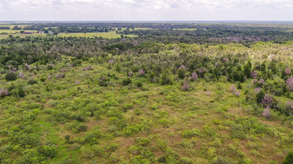 5672 County Road 314 Rockdale, TX 76567