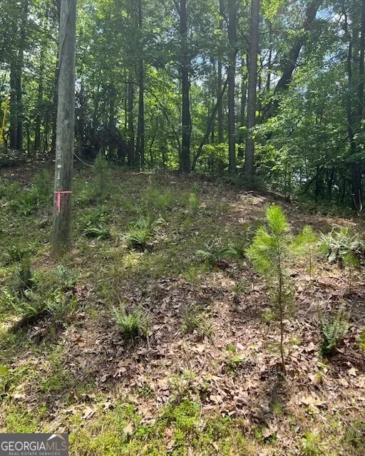 133 Adair DR NE Ranger, GA 30734