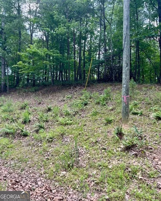 133 Adair DR NE Ranger, GA 30734