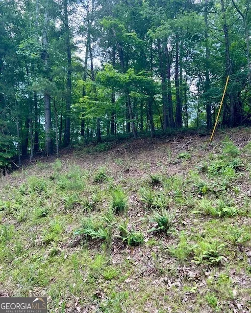 133 Adair DR NE Ranger, GA 30734