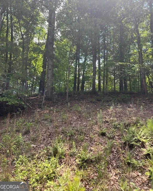 133 Adair DR NE Ranger, GA 30734