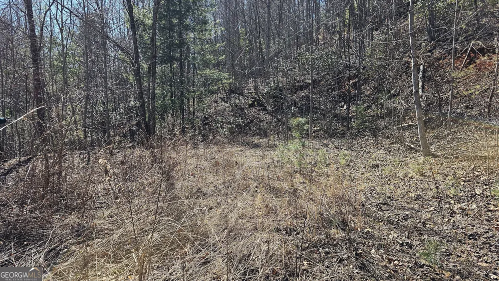0 Saddleback CIR Sky Valley, GA 30537