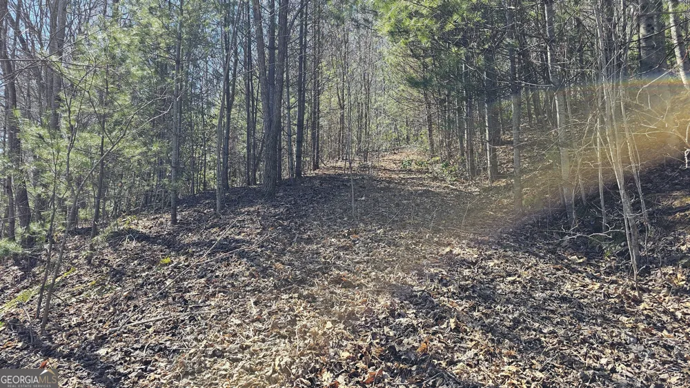 0 Saddleback CIR Sky Valley, GA 30537