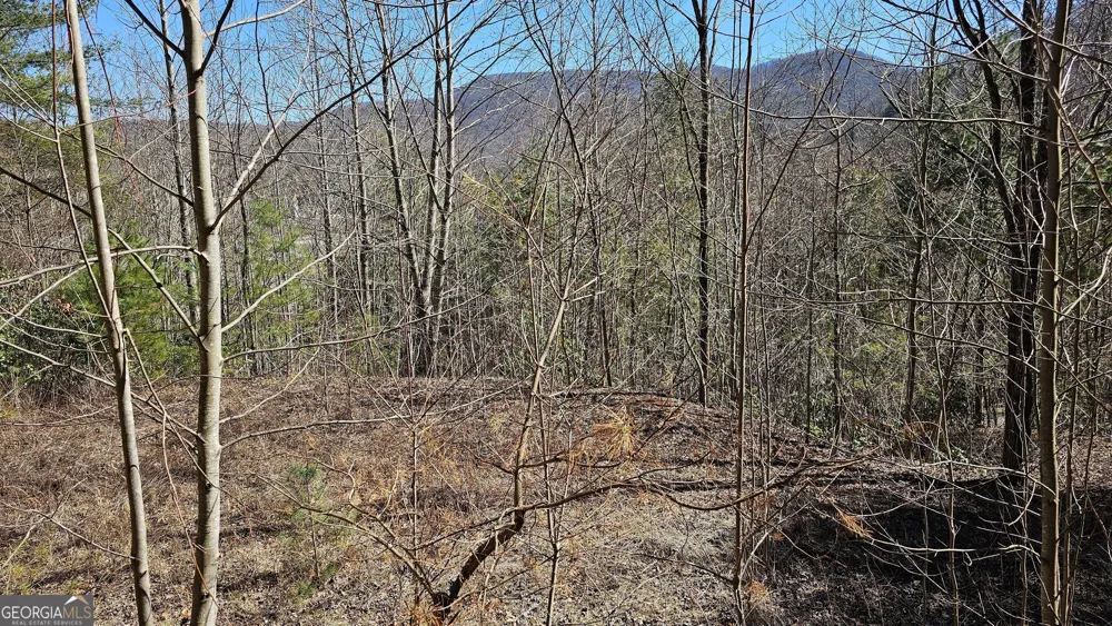 0 Saddleback CIR Sky Valley, GA 30537