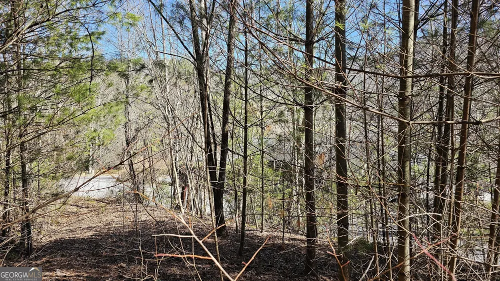 0 Saddleback CIR Sky Valley, GA 30537