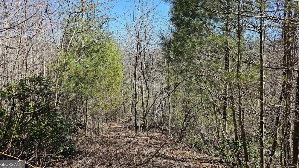 0 Saddleback CIR Sky Valley, GA 30537