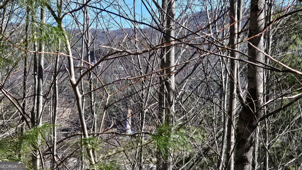 0 Saddleback CIR Sky Valley, GA 30537
