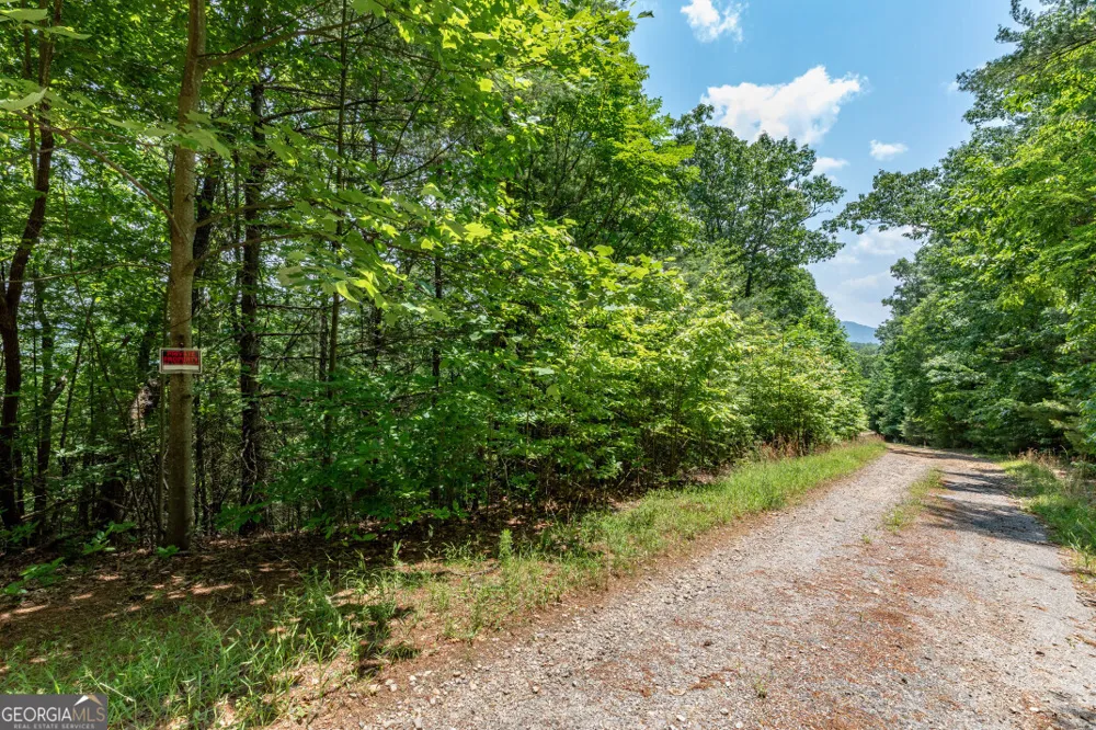 LOT 6 Wild Turkey Young Harris, GA 30582
