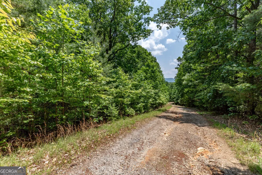 LOT 6 Wild Turkey Young Harris, GA 30582