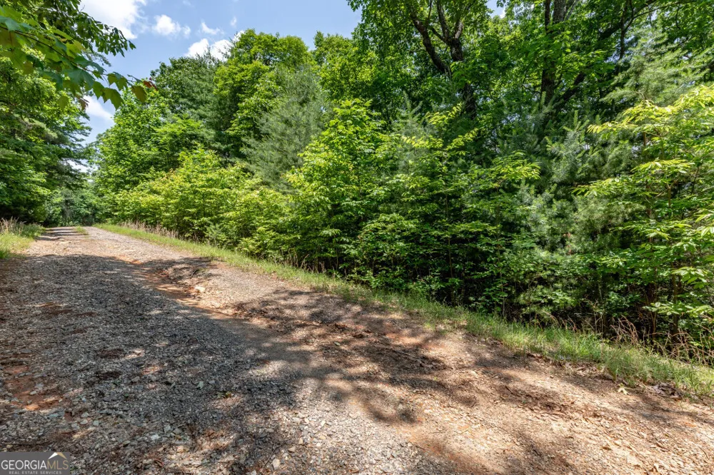 LOT 6 Wild Turkey Young Harris, GA 30582
