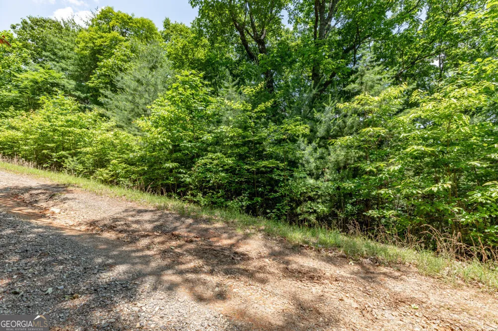LOT 6 Wild Turkey Young Harris, GA 30582