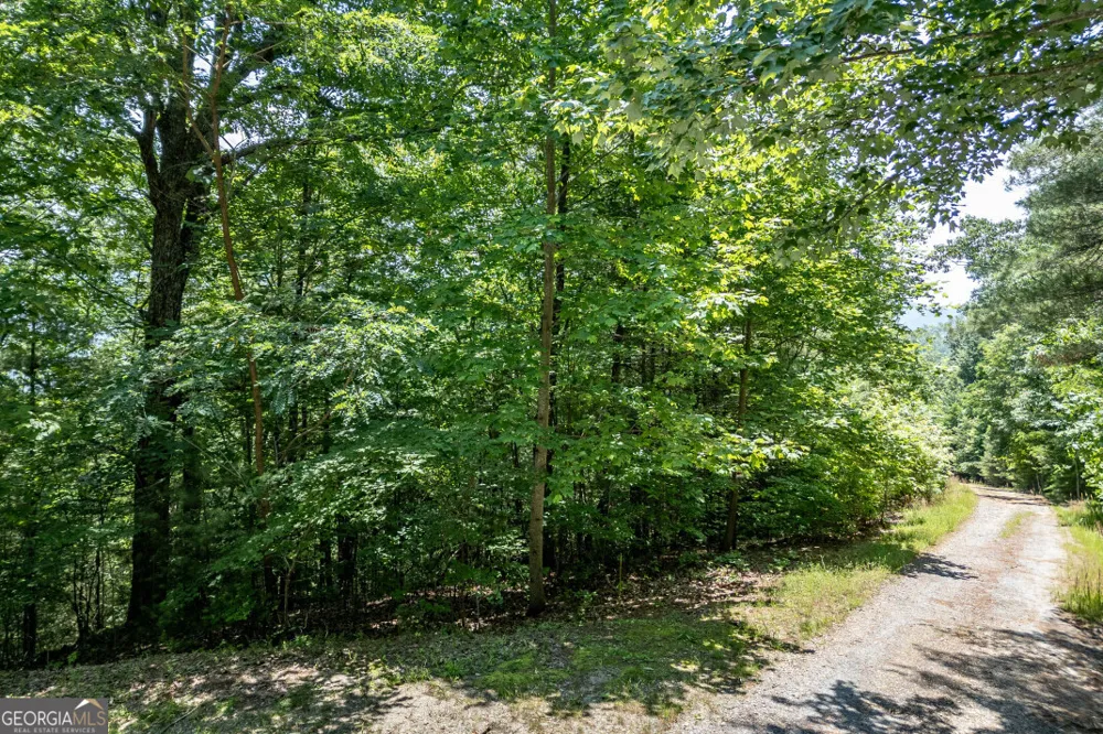 LOT 6 Wild Turkey Young Harris, GA 30582