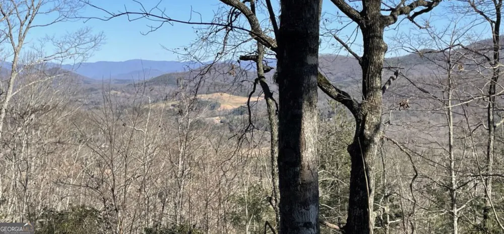 LOT 6 Wild Turkey Young Harris, GA 30582