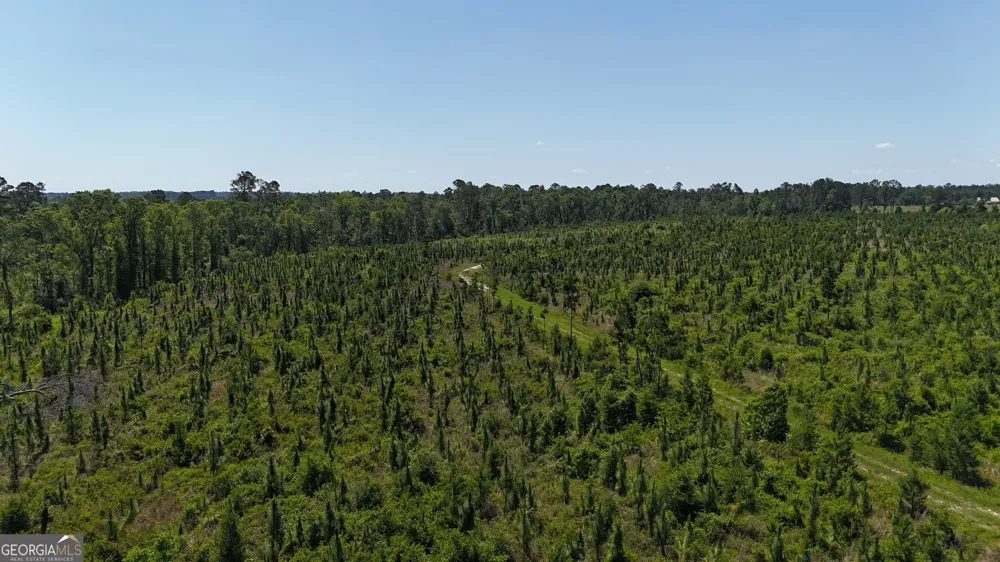 0 Deer Run RD Vidalia, GA 30474