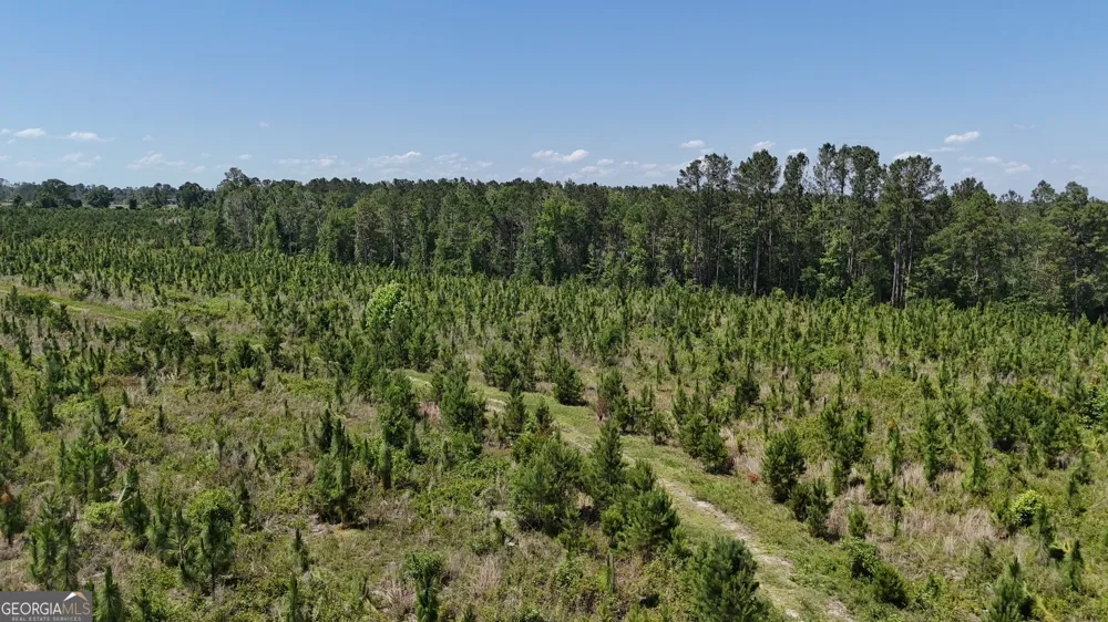 0 Deer Run RD Vidalia, GA 30474