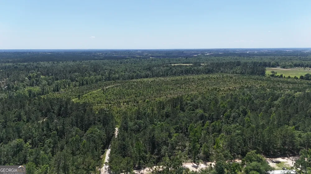 0 Deer Run RD Vidalia, GA 30474