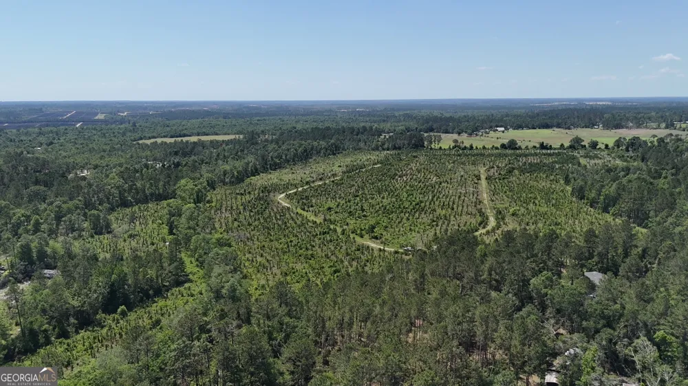 0 Deer Run RD Vidalia, GA 30474