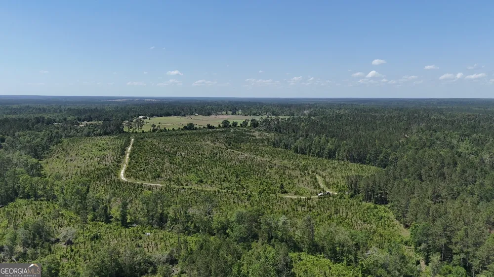 0 Deer Run RD Vidalia, GA 30474