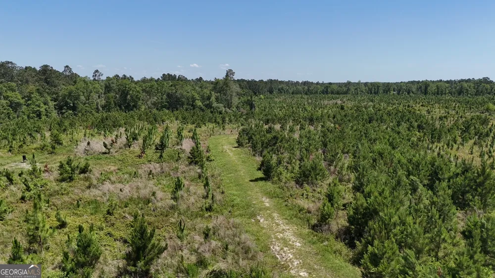 0 Deer Run RD Vidalia, GA 30474