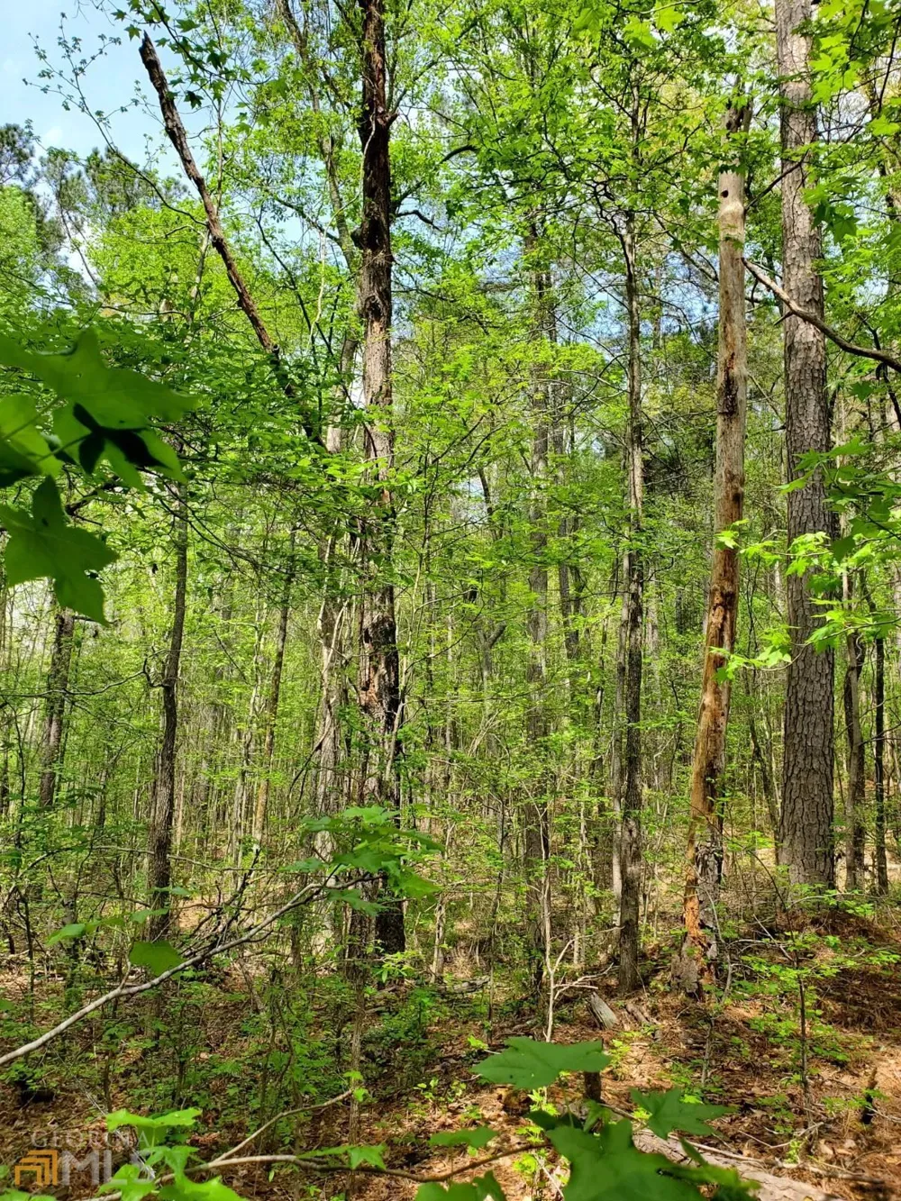0 Old Highway 138 Oxford, GA 30054