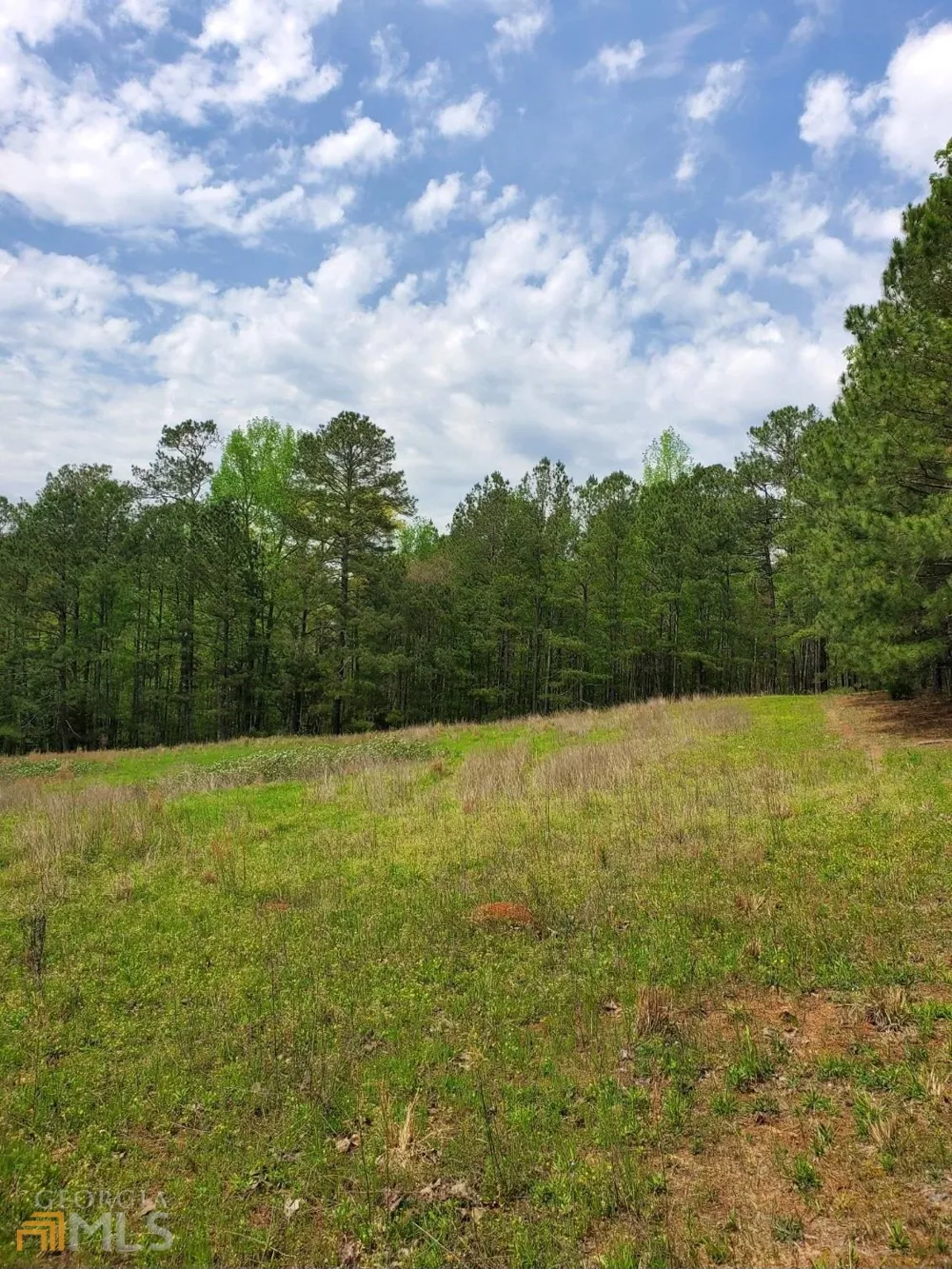 0 Old Highway 138 Oxford, GA 30054