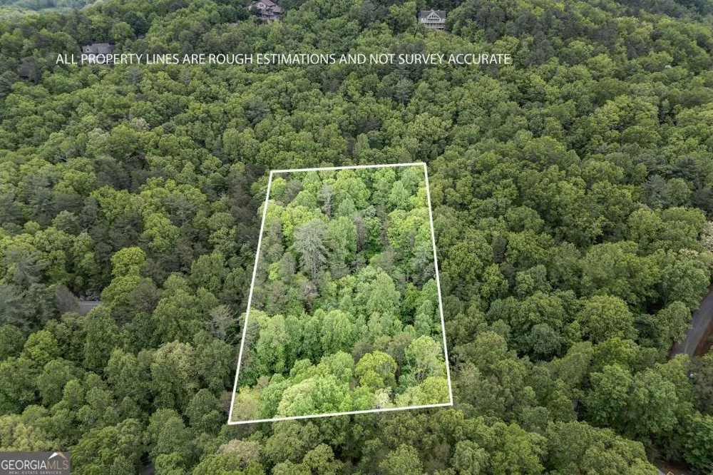 LOT 17 Lower Gap RD Sautee Nacoochee, GA 30571