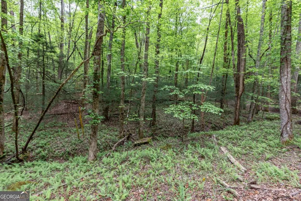 LOT 17 Lower Gap RD Sautee Nacoochee, GA 30571