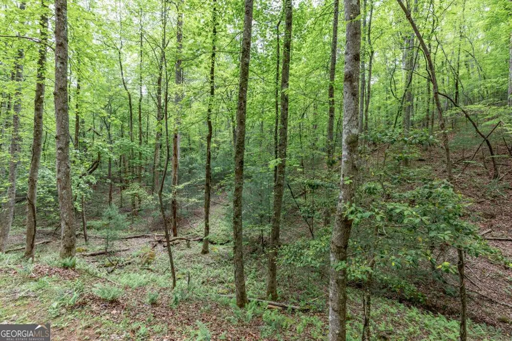 LOT 17 Lower Gap RD Sautee Nacoochee, GA 30571