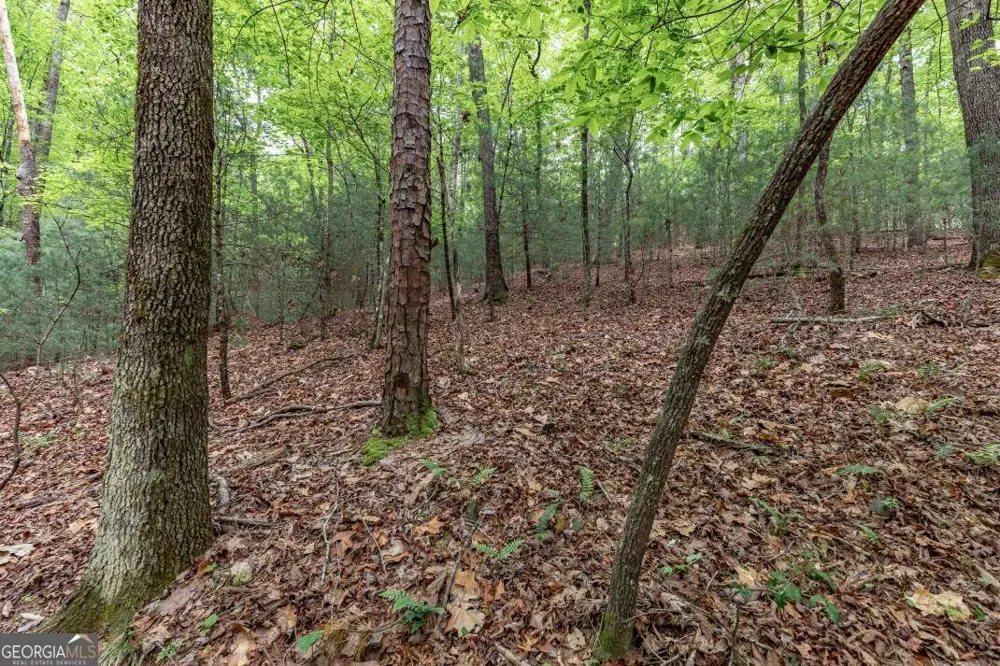 LOT 17 Lower Gap RD Sautee Nacoochee, GA 30571