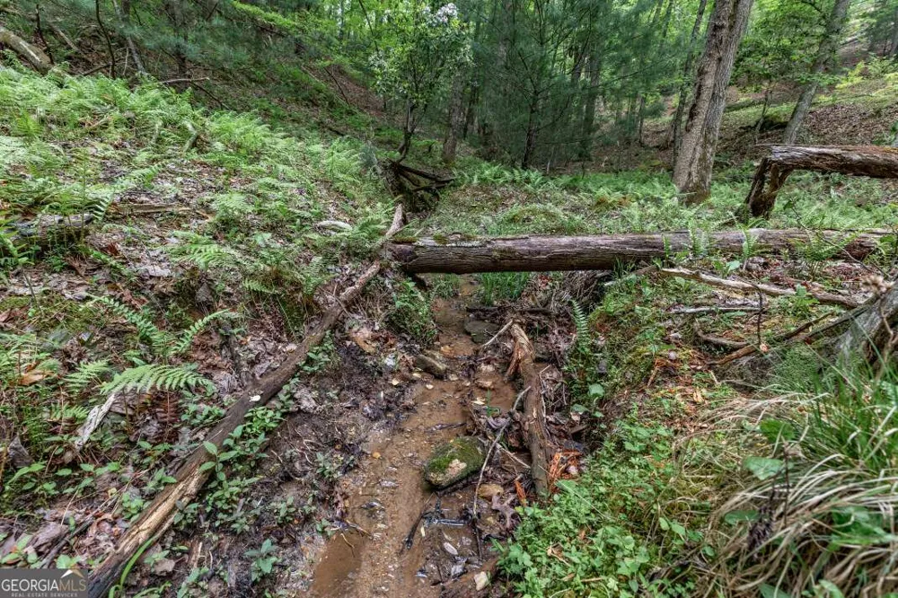 LOT 17 Lower Gap RD Sautee Nacoochee, GA 30571