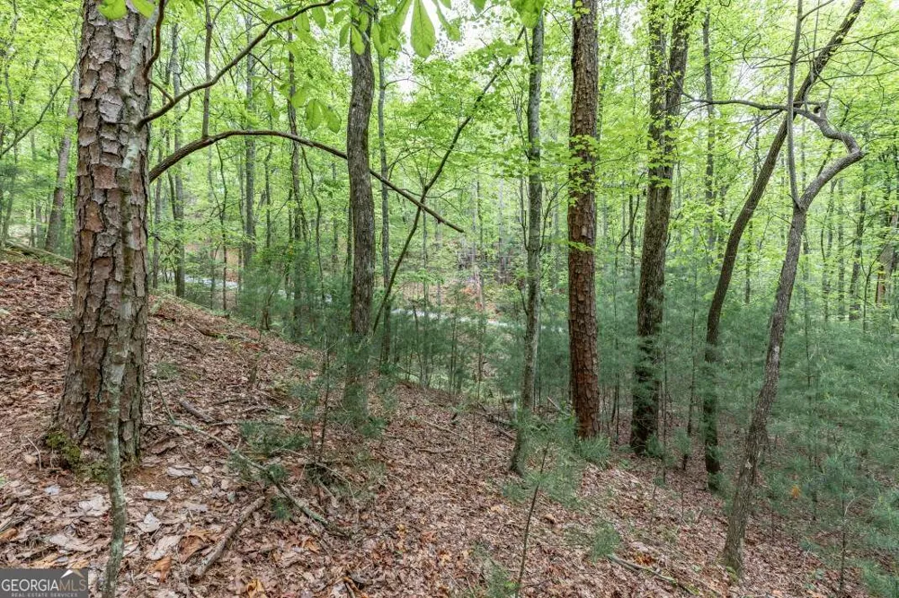 LOT 17 Lower Gap RD Sautee Nacoochee, GA 30571