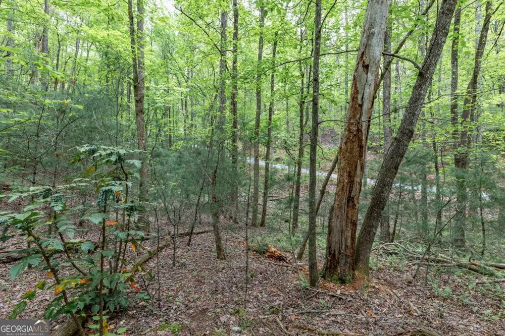 LOT 17 Lower Gap RD Sautee Nacoochee, GA 30571