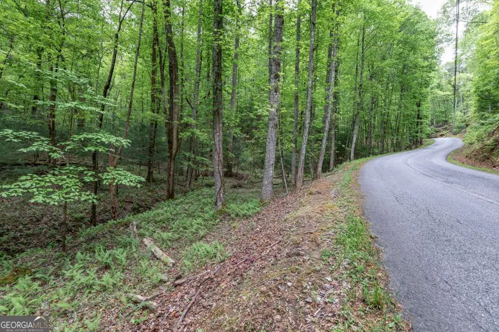 LOT 17 Lower Gap RD Sautee Nacoochee, GA 30571