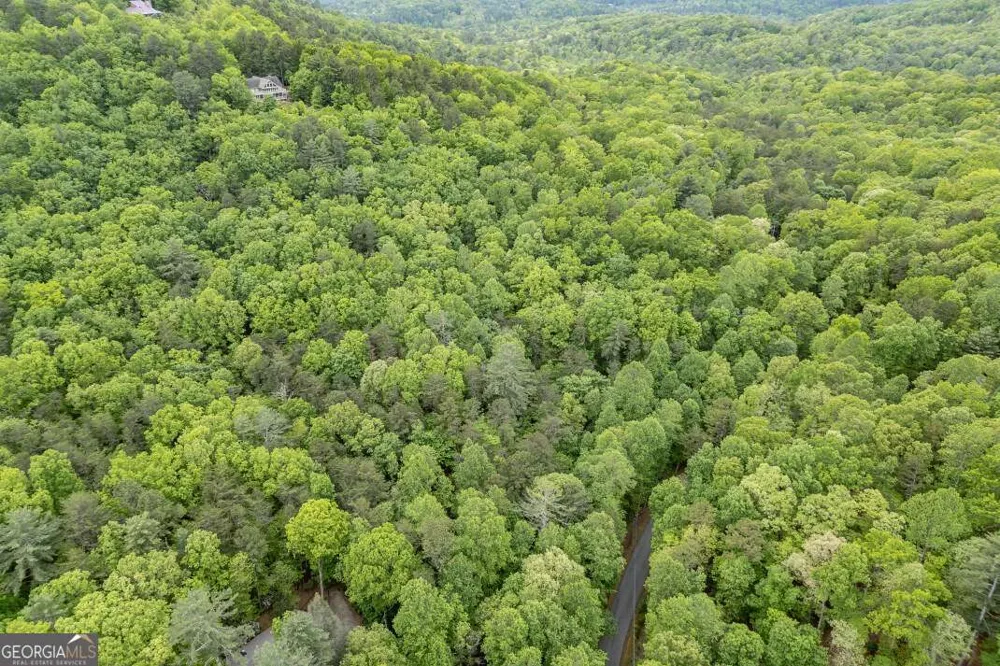 LOT 17 Lower Gap RD Sautee Nacoochee, GA 30571